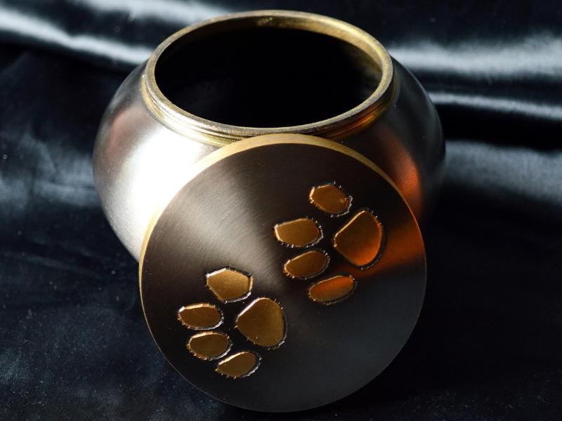 Urnas e Joias: Conheça os Produtos Voltados para a Cremação Pet