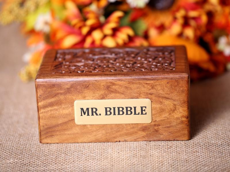 Cremação Pet Individual - Receba as Cinzas do Seu Amado Pet