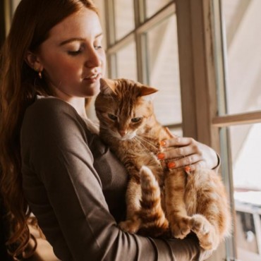 Cremação de Gato em Xanxerê