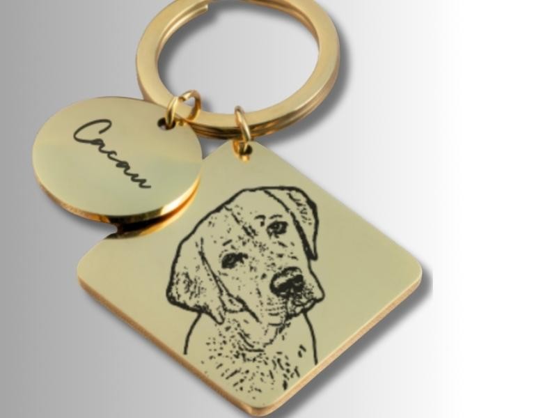 Chaveiro Pet Semi Joia