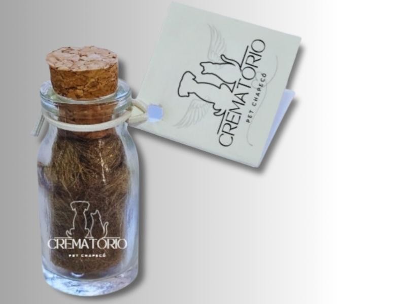 Tufinho de Pelos Pet